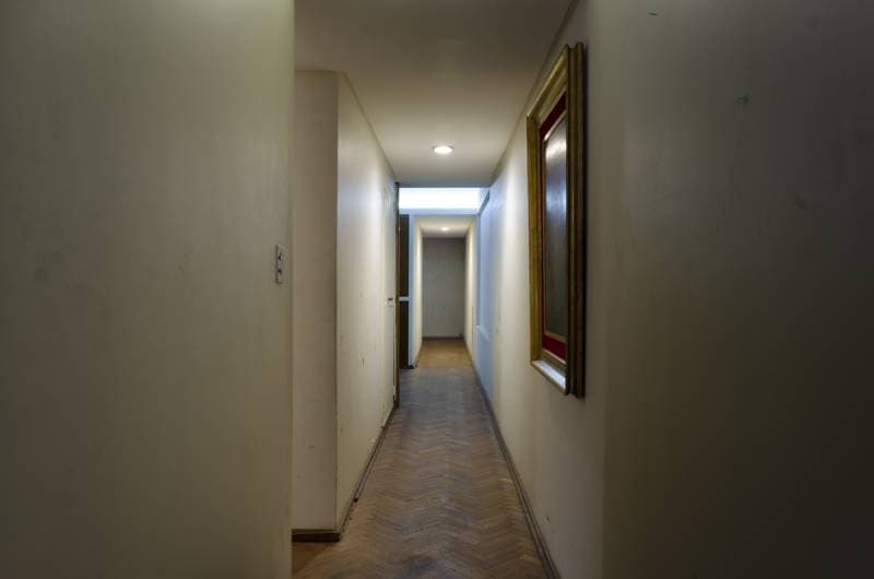 Imagen número 14