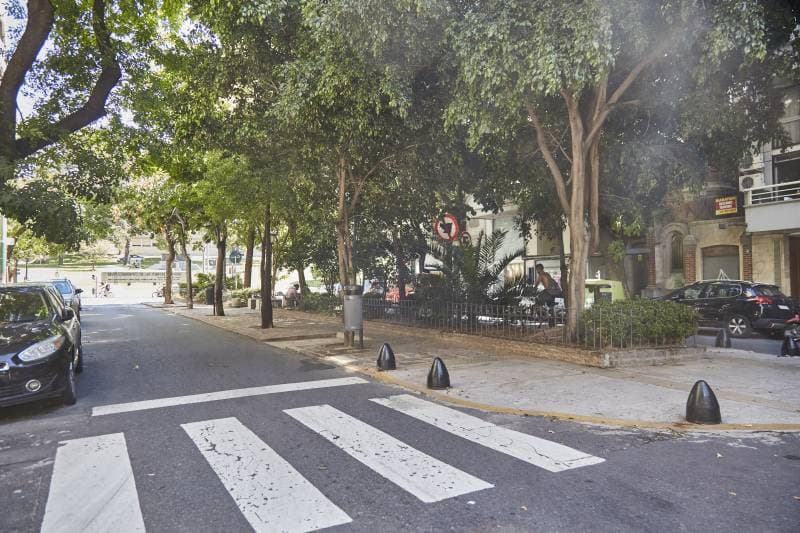 Imagen número 10