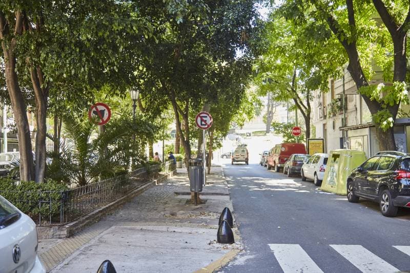Imagen número 12
