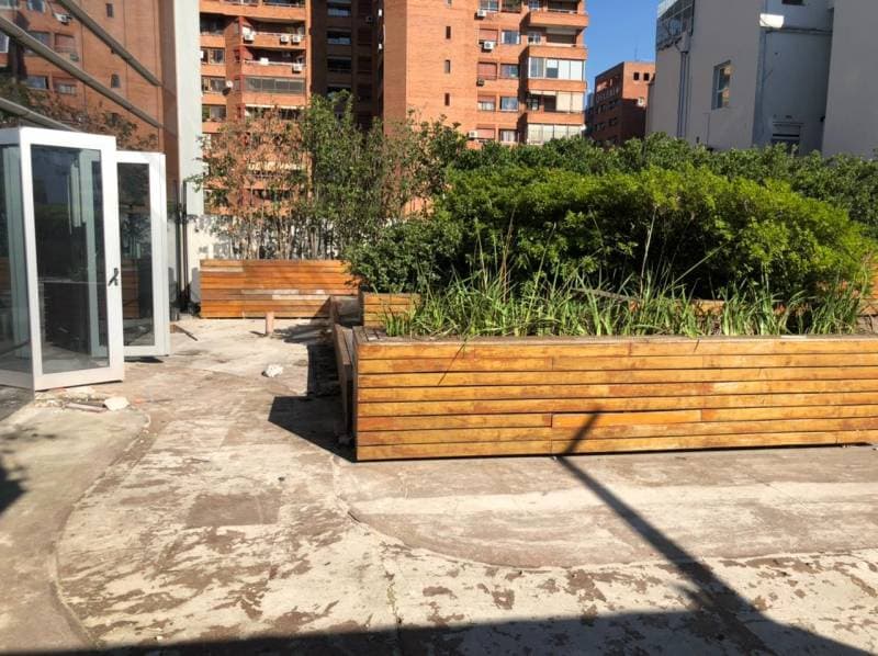 Imagen número 10