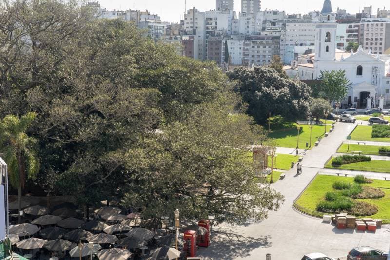 Imagen número 1