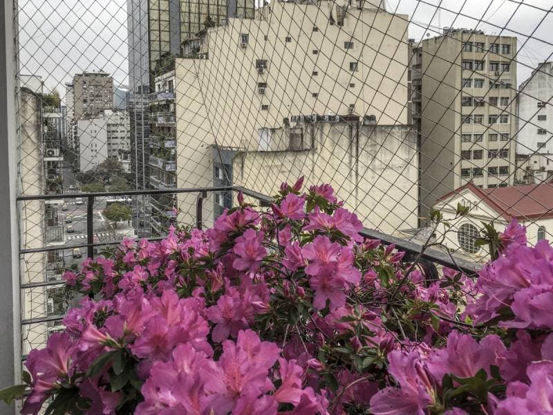 Imagen número 8