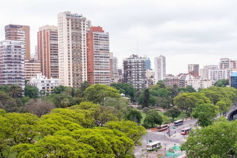 Imagen número 12