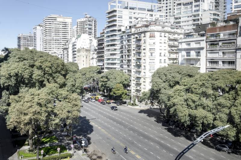 Imagen número 12