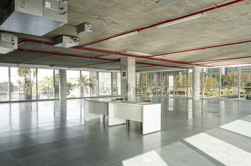 Imagen número 23