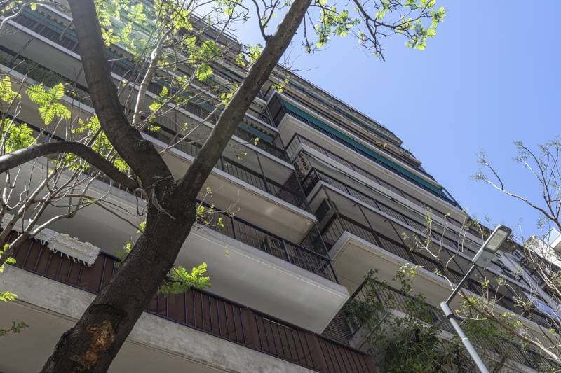 Imagen número 22