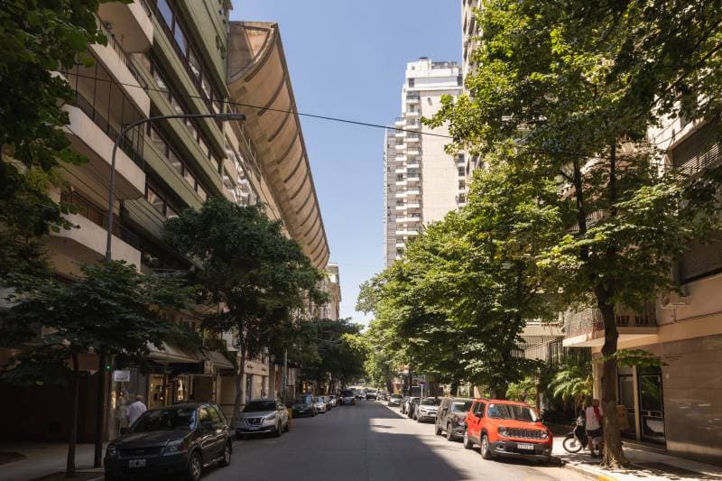 Imagen número 13