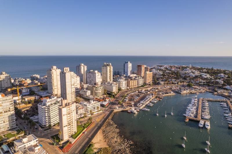 Imagen número 16