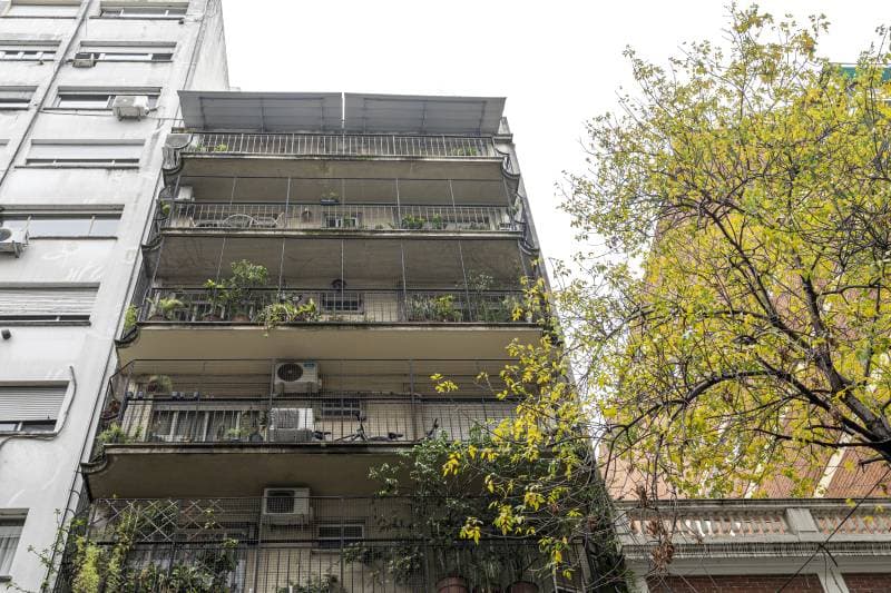 Imagen número 17