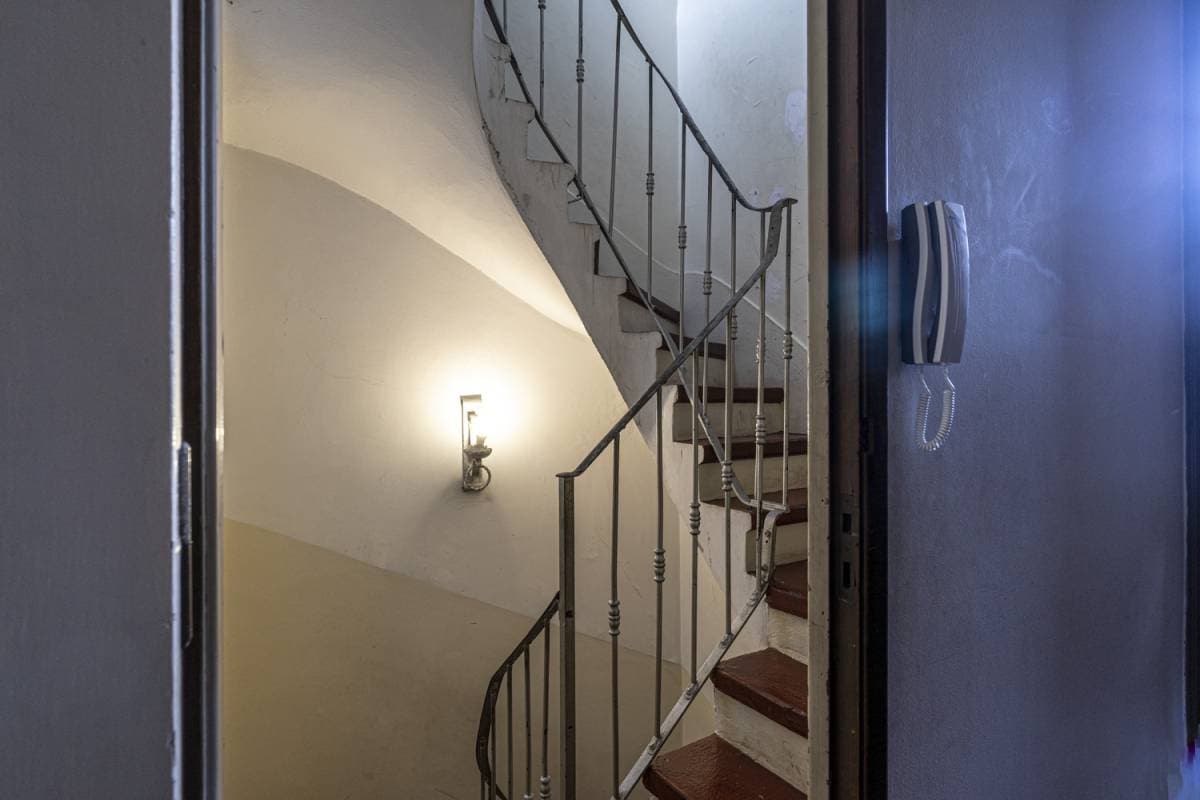 Imagen número 22