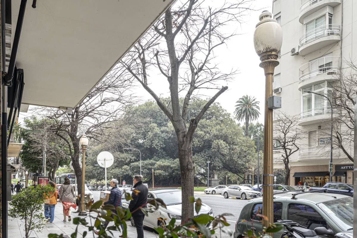 Imagen número 31