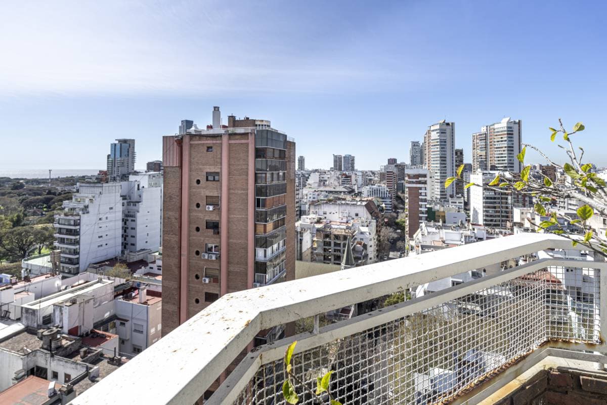 Imagen número 11