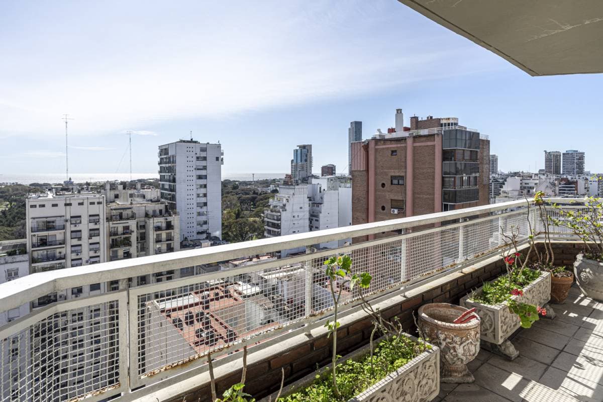 Imagen número 12