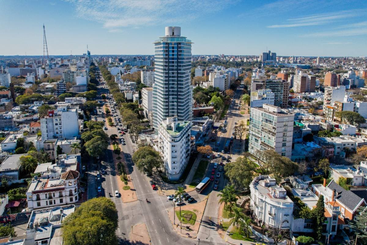 Imagen número 14