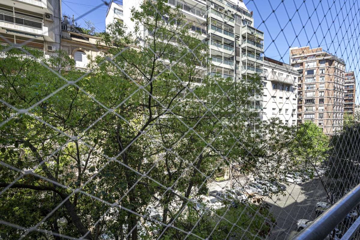 Imagen número 11