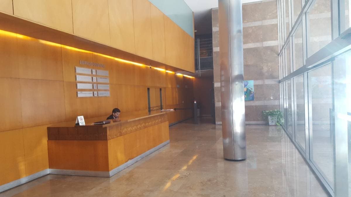Imagen número 6