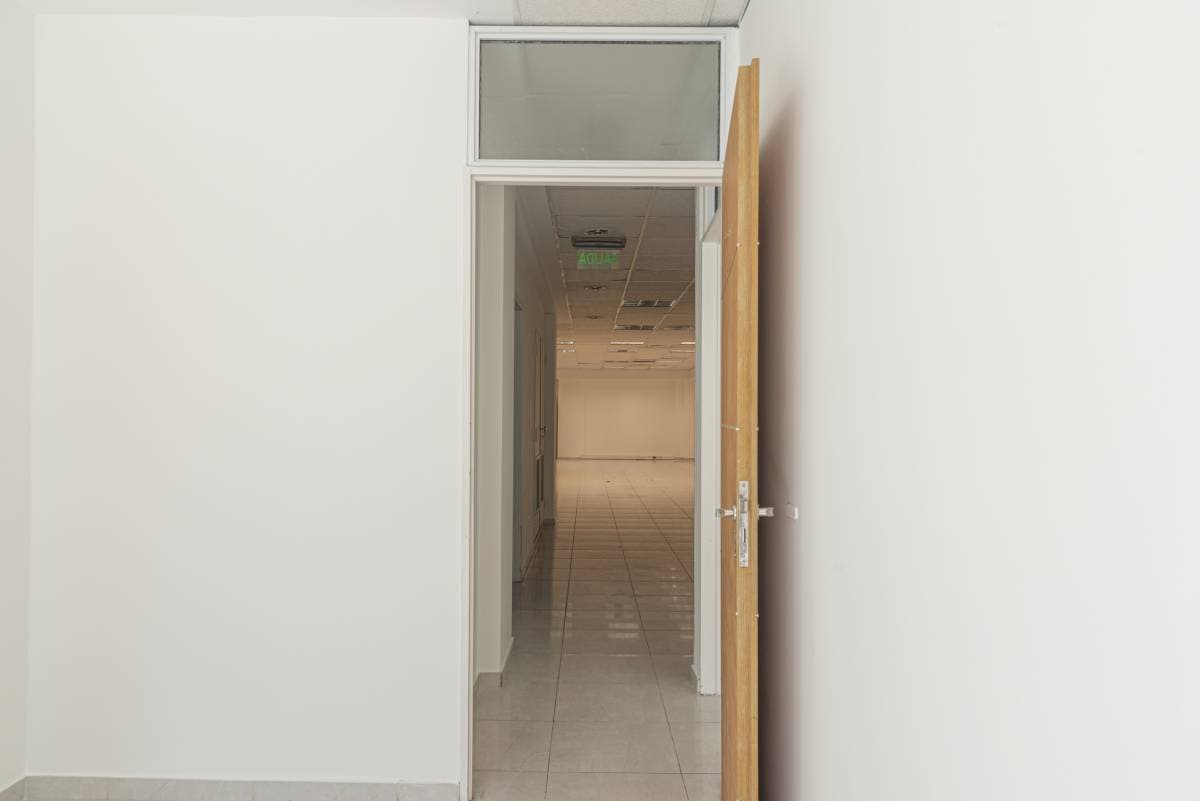 Imagen número 12