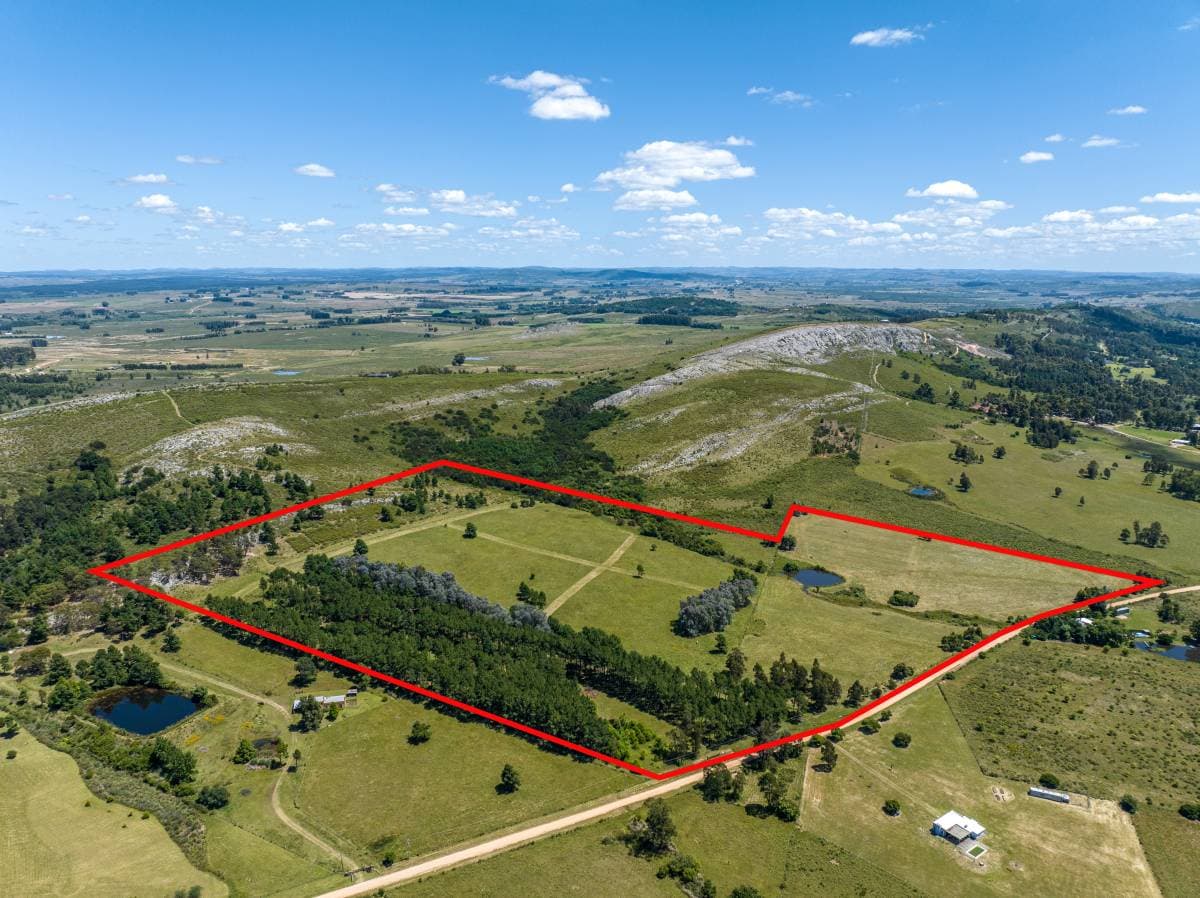 Chacra de 20 has. en venta en Laguna del Sauce (Imagen número 3)