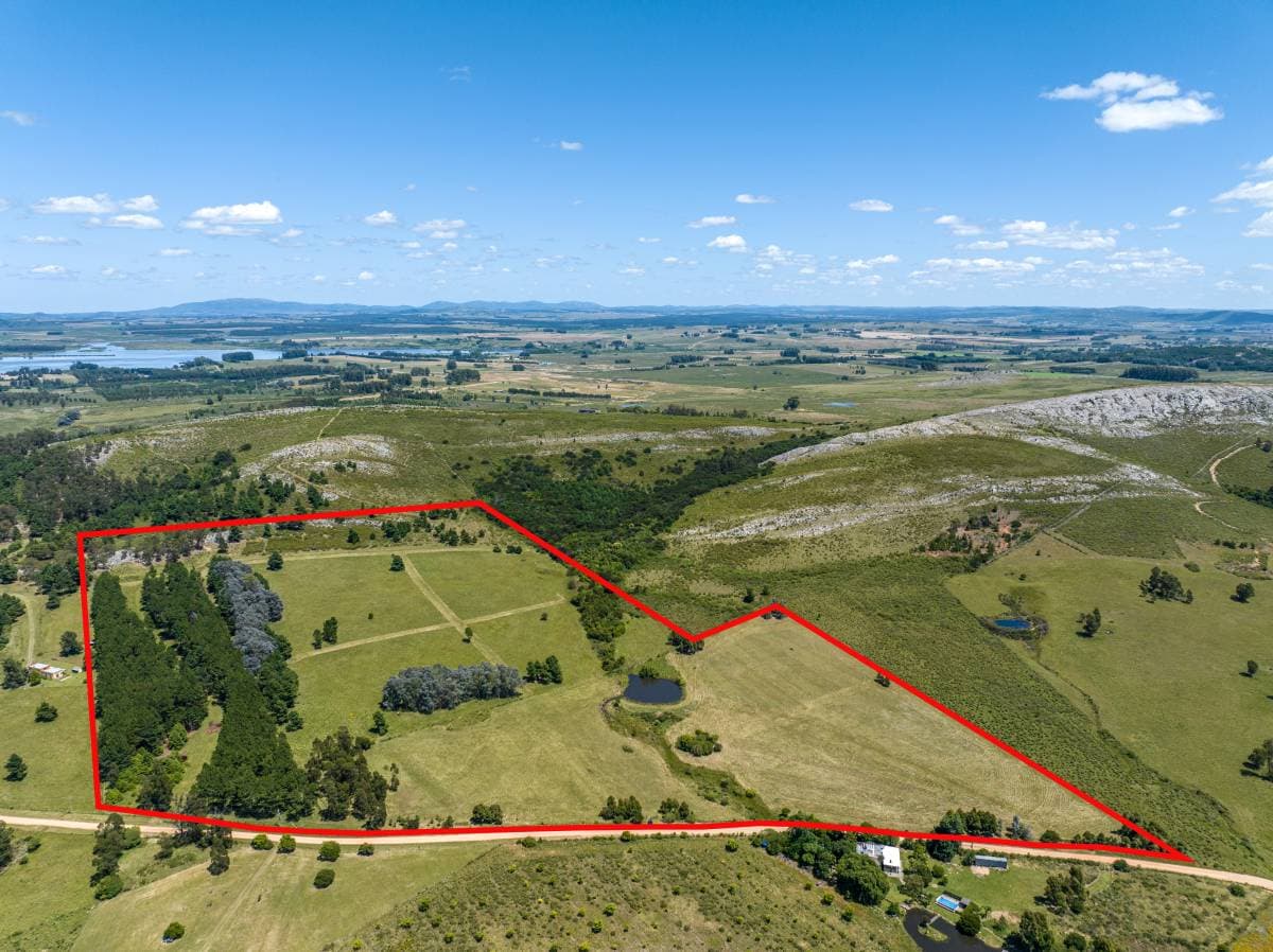 Chacra de 20 has. en venta en Laguna del Sauce (Imagen número 1)