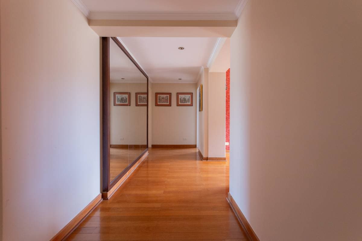 Imagen número 23