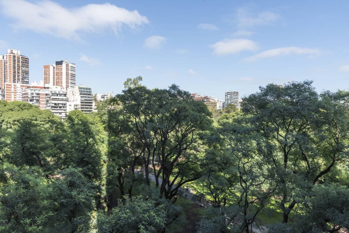 Imagen número 1