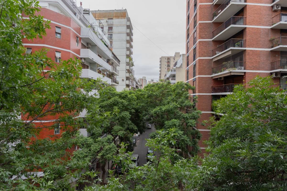 Imagen número 12