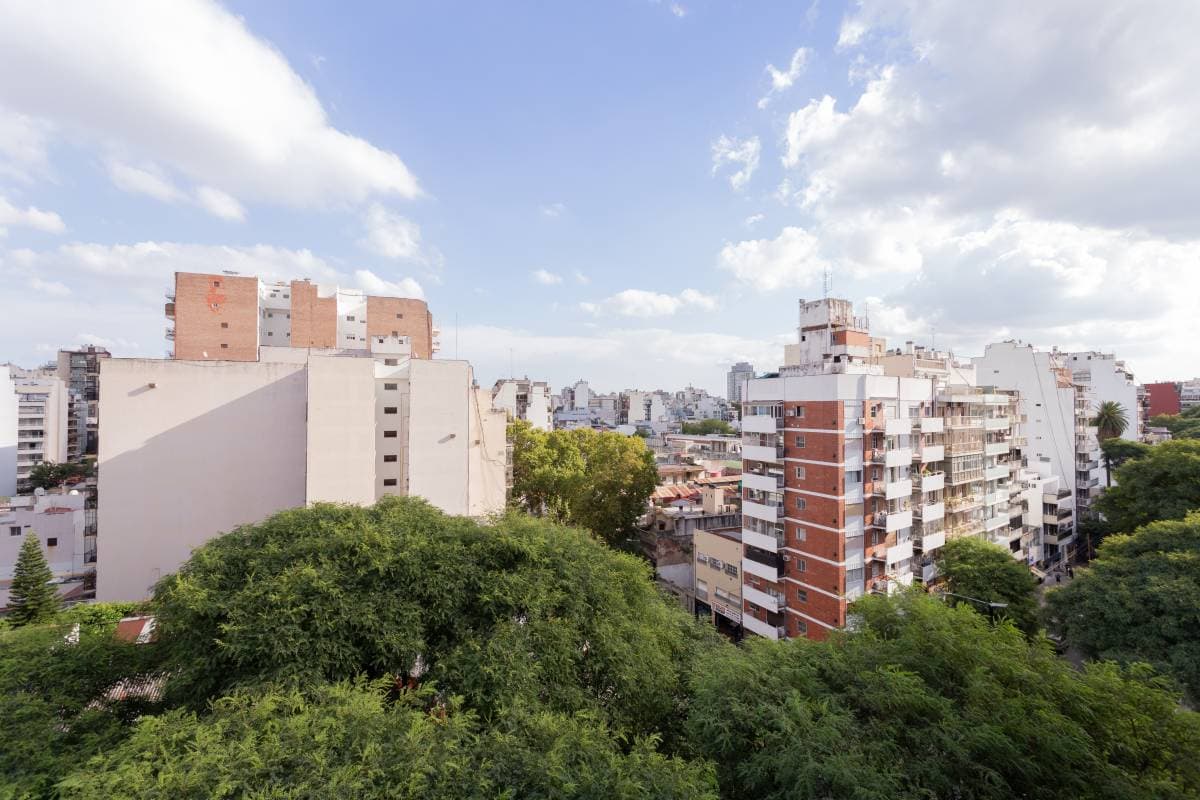 Imagen número 7