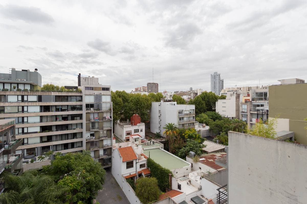 Imagen número 11