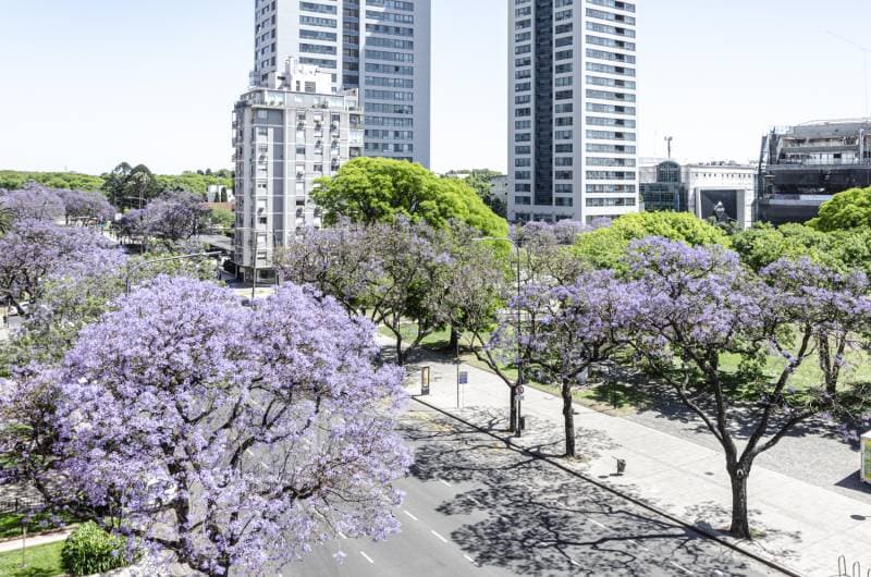 Imagen número 7