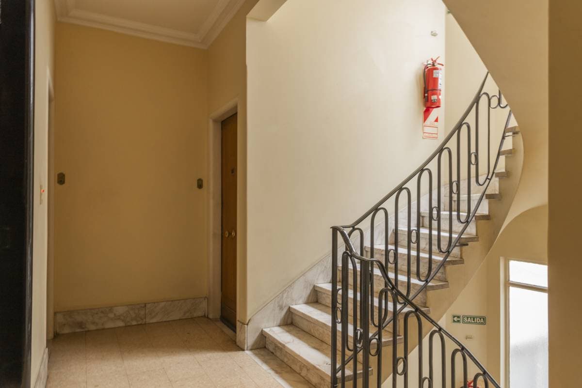 Imagen número 13