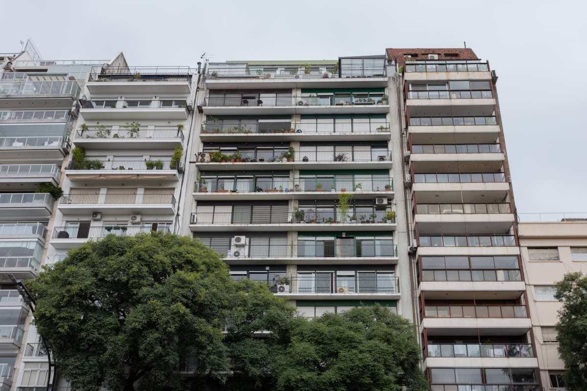 Imagen número 23