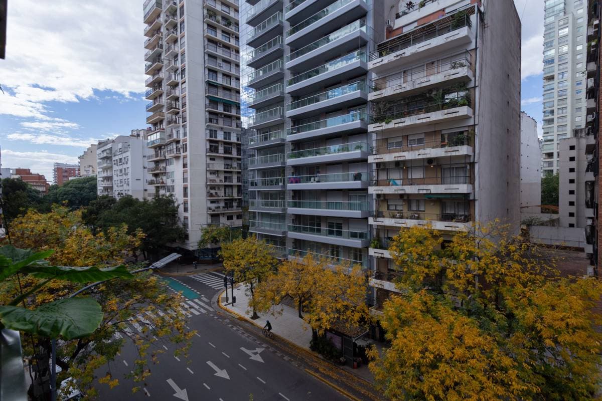 Imagen número 11
