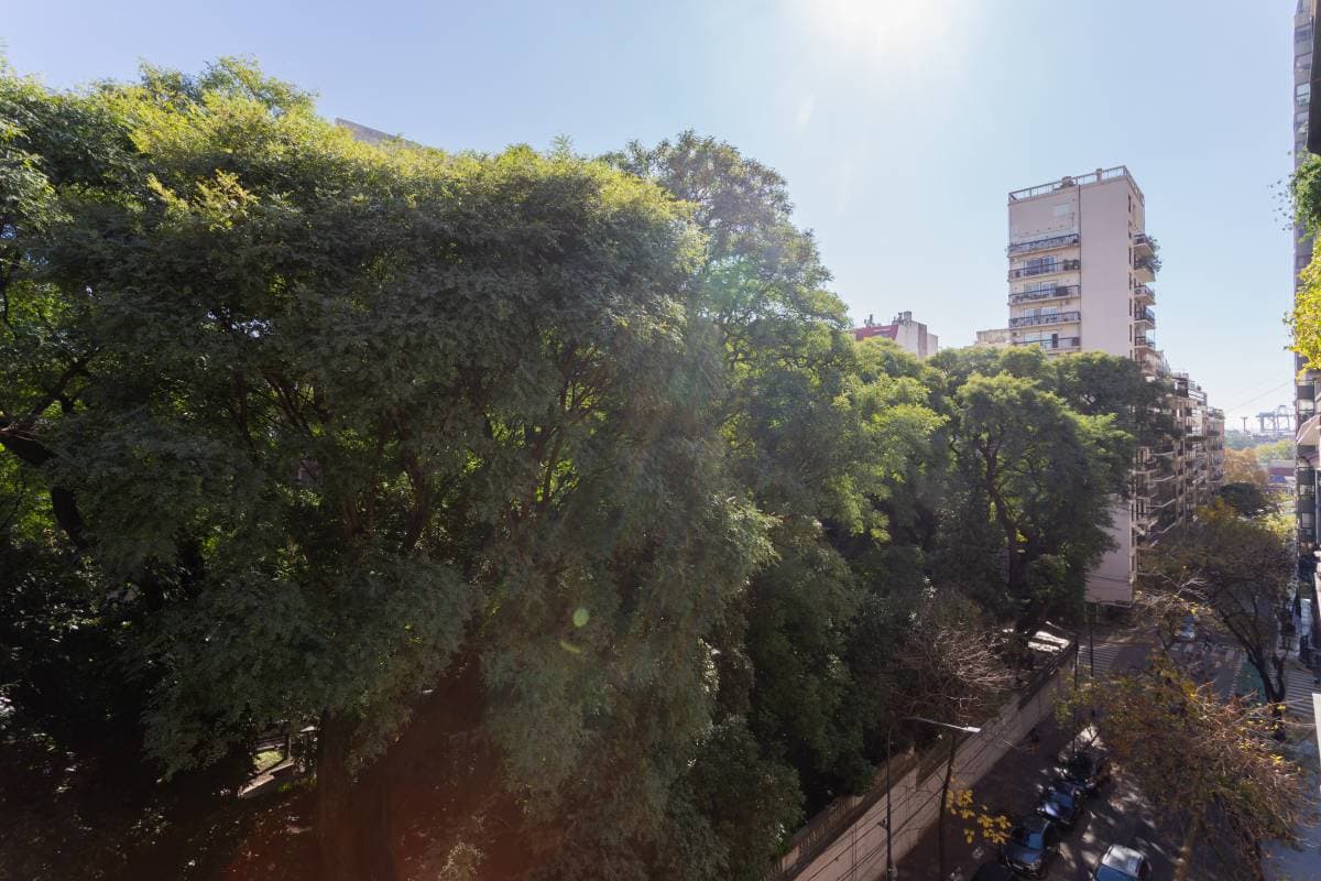 Imagen número 7