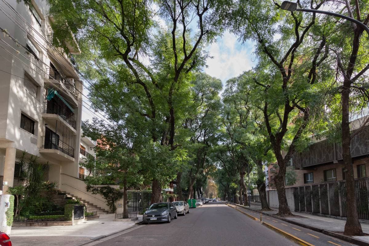 Imagen número 28