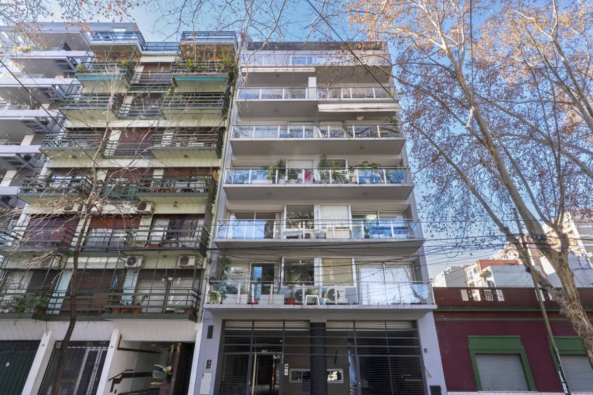 Imagen número 25