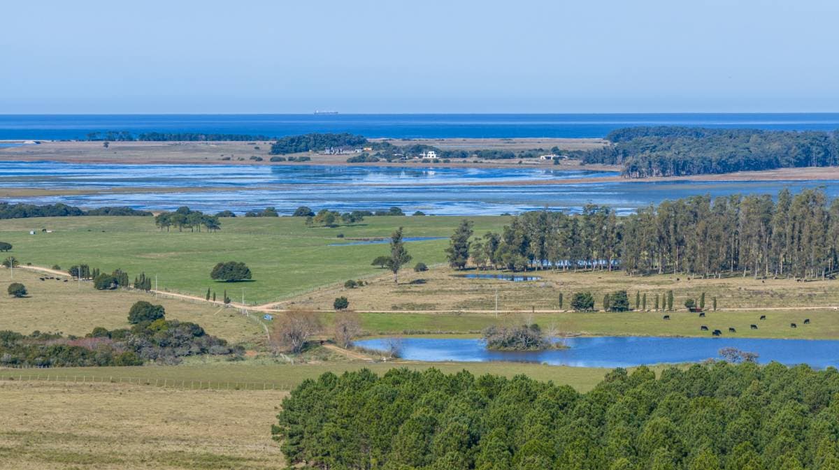 Chacra marítima de 11 hectáreas en la mejor loma de Altos de José Ignacio (Imagen número 1)