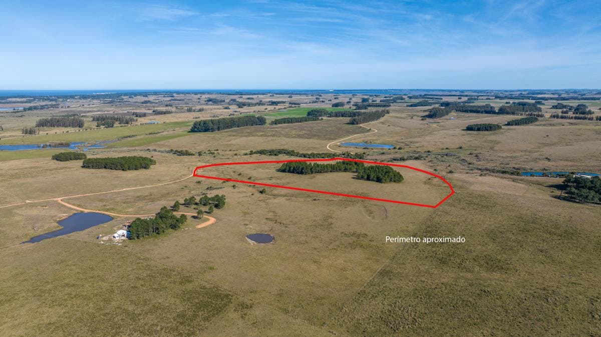Chacra marítima de 11 hectáreas en la mejor loma de Altos de José Ignacio (Imagen número 2)
