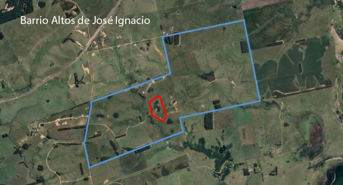 Imagen número 16