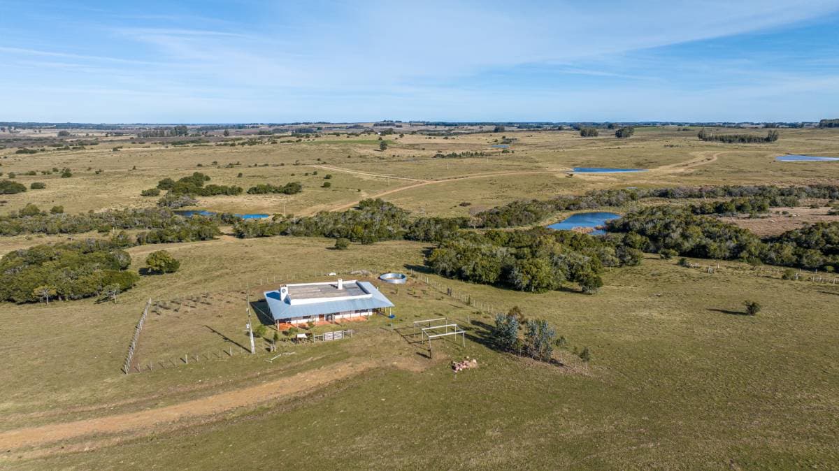 Campo de 177 has. en José Ignacio (Imagen número 3)