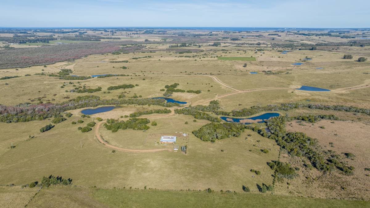 Campo de 177 has. en José Ignacio (Imagen número 2)
