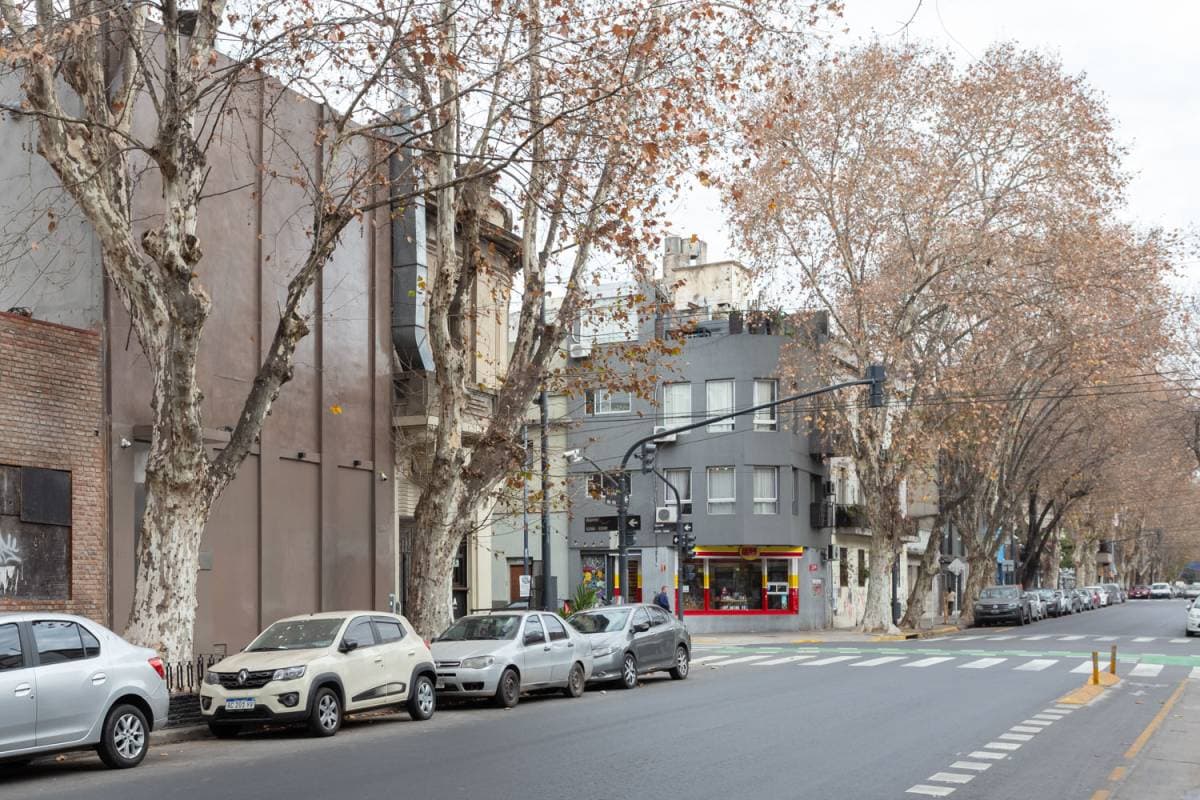 Imagen número 15