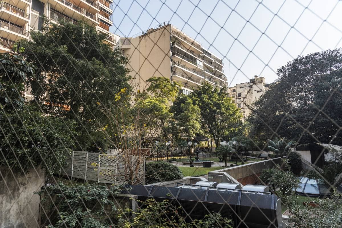 Imagen número 28