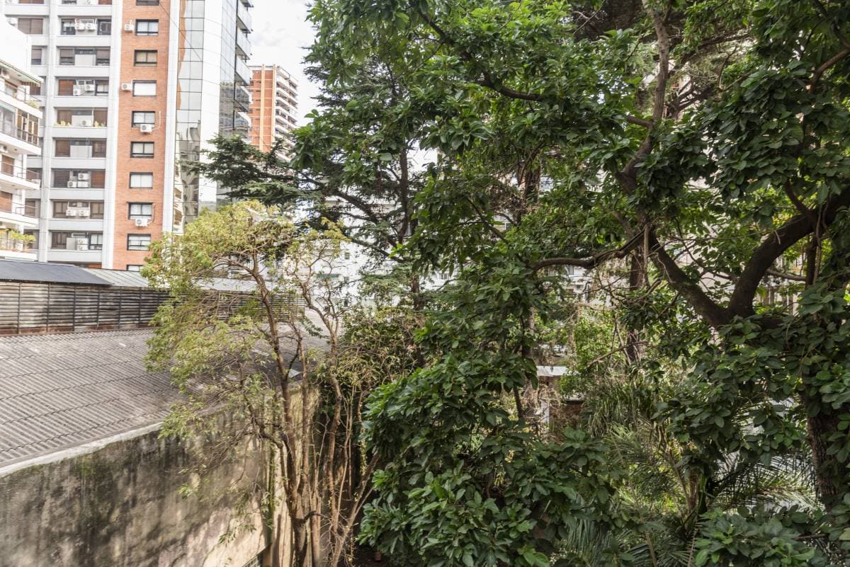 Imagen número 21