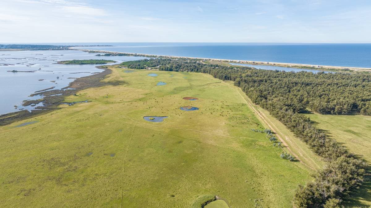 Chacra en venta de 10 Has. sobre Laguna José Ignacio (Imagen número 2)