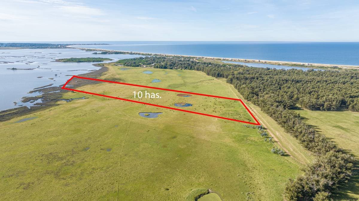Chacra en venta de 10 Has. sobre Laguna José Ignacio (Imagen número 1)