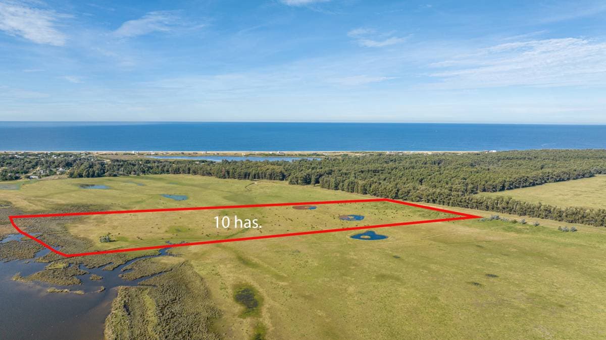 Chacra en venta de 10 Has. sobre Laguna José Ignacio (Imagen número 3)