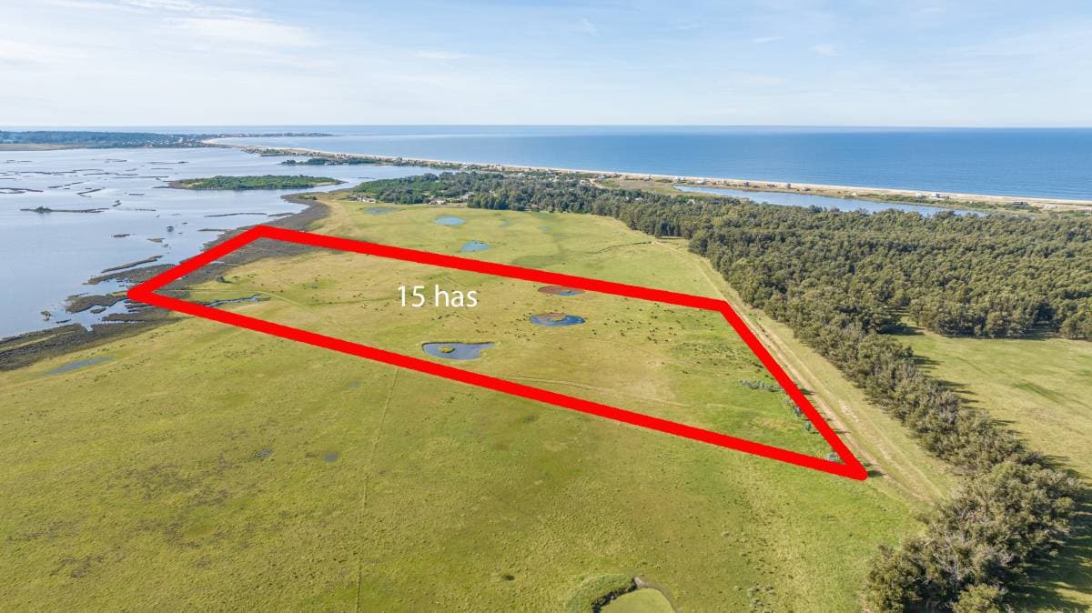Chacra en venta de 15 Has. sobre Laguna José Ignacio (Imagen número 1)
