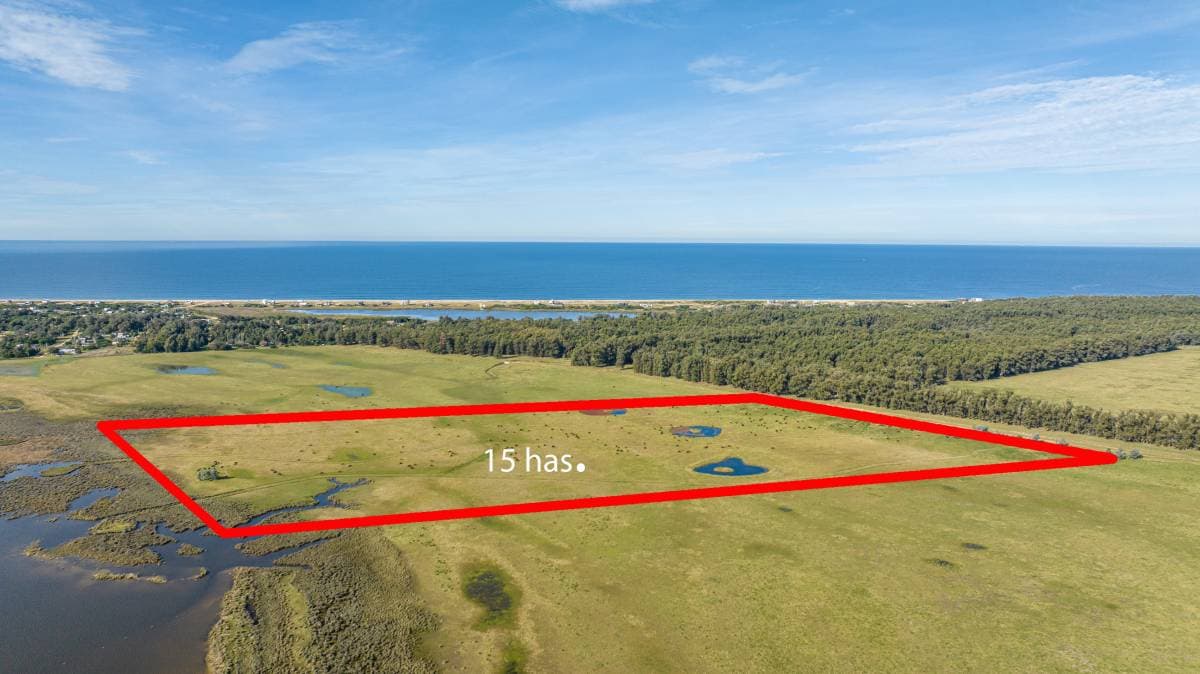 Chacra en venta de 15 Has. sobre Laguna José Ignacio (Imagen número 3)