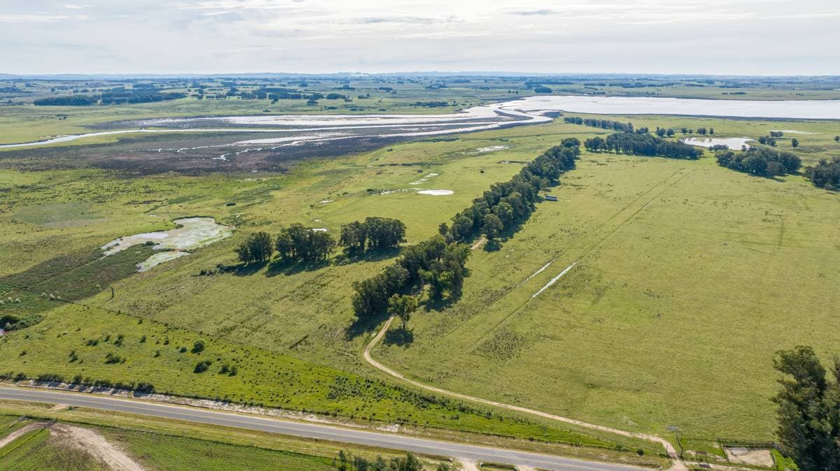 Chacra en venta de 39 Has. sobre arroyo José Ignacio (Imagen número 2)