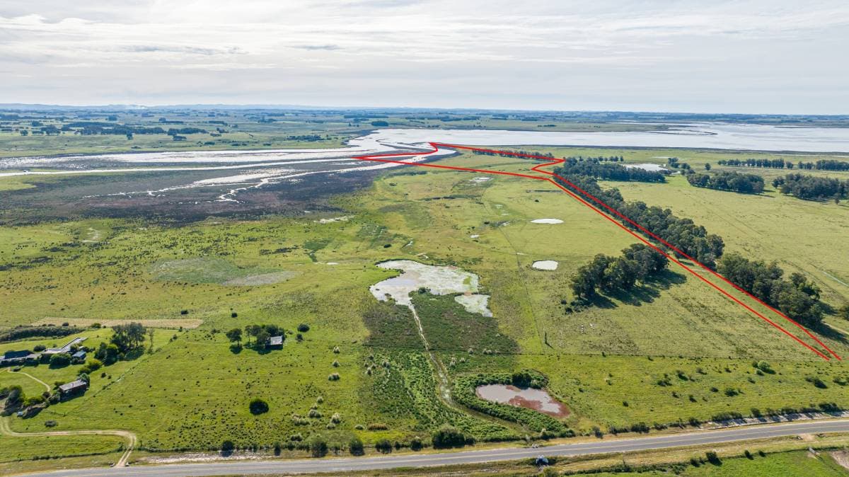 Chacra en venta de 39 Has. sobre arroyo José Ignacio (Imagen número 3)